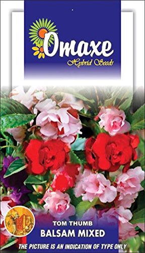 Omaxe Balsam Tom Thumb Mixed Seeds 50g